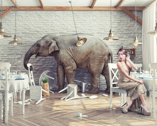  elephant in restaurant