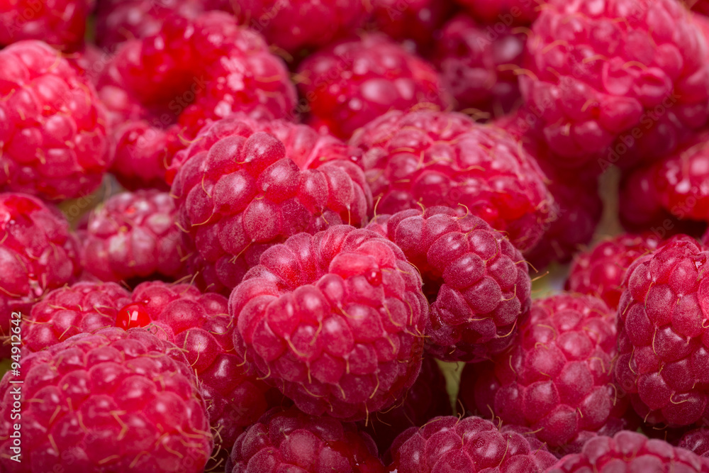 A beautiful selection of freshly picked ripe red raspberries. A beautiful selection of freshly picked ripe red raspberries.