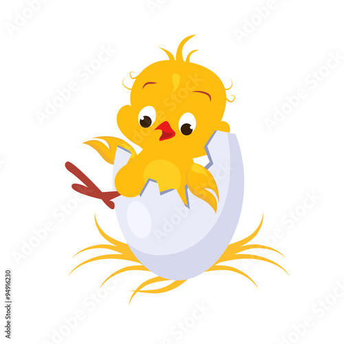 Cartoon Chicken in an Egg. Vector Illustration