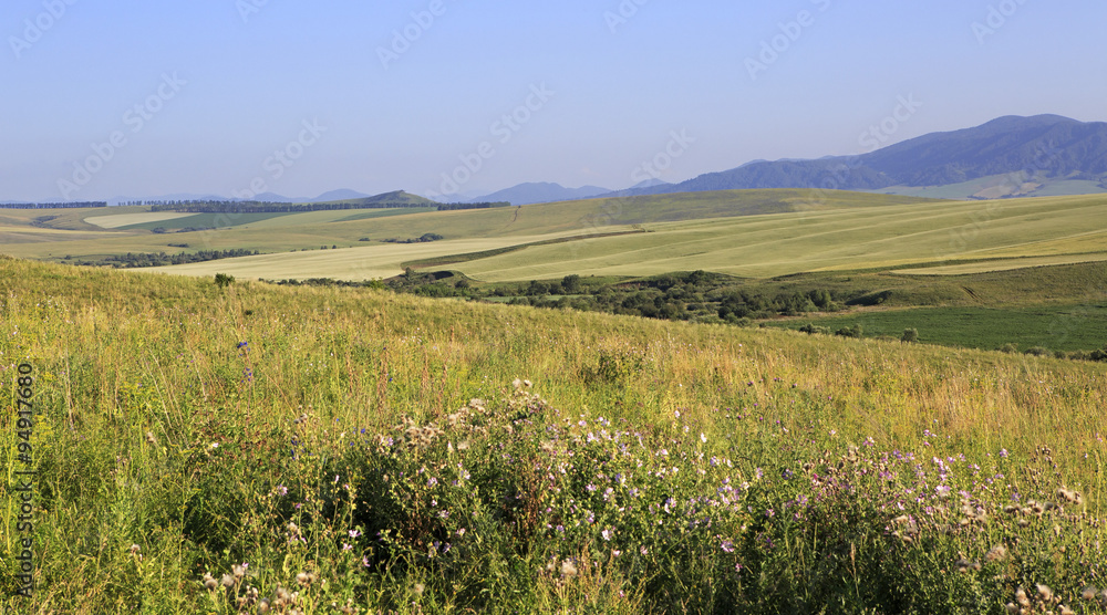 Agricultural fields in the hills of Altai Mountains.