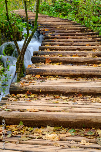 Wood path in the Plitvice national park in autumn