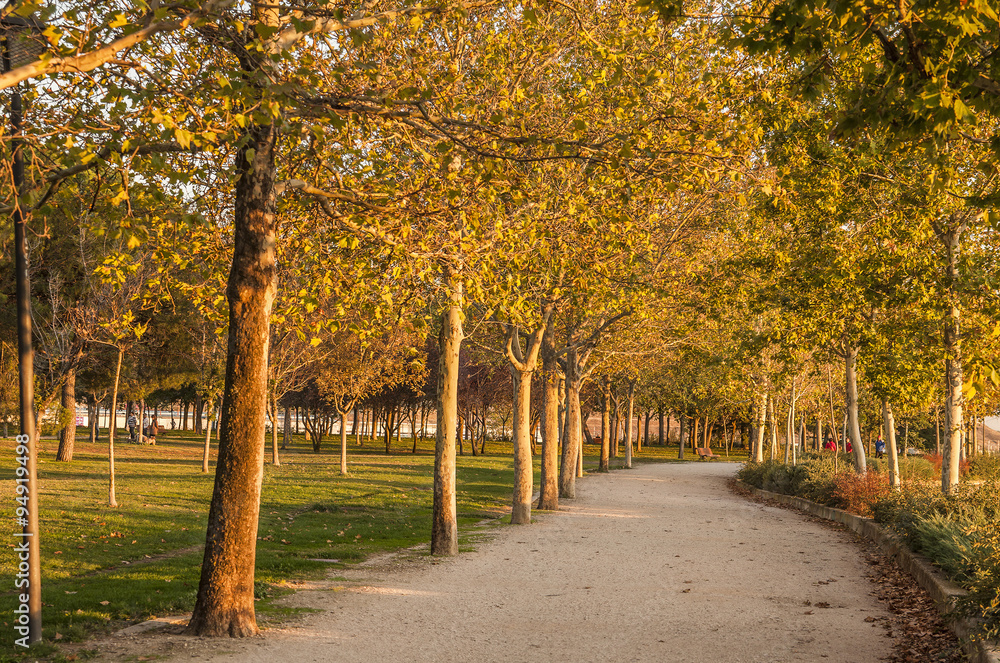 Naklejka premium Golden hour and autumn in Madrid.