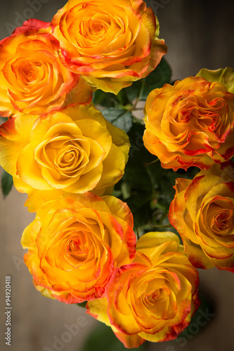 beauty roses in studio