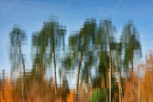Autumn theme on the surface of water. Reflected landscape in the water which was being flipped upside down.