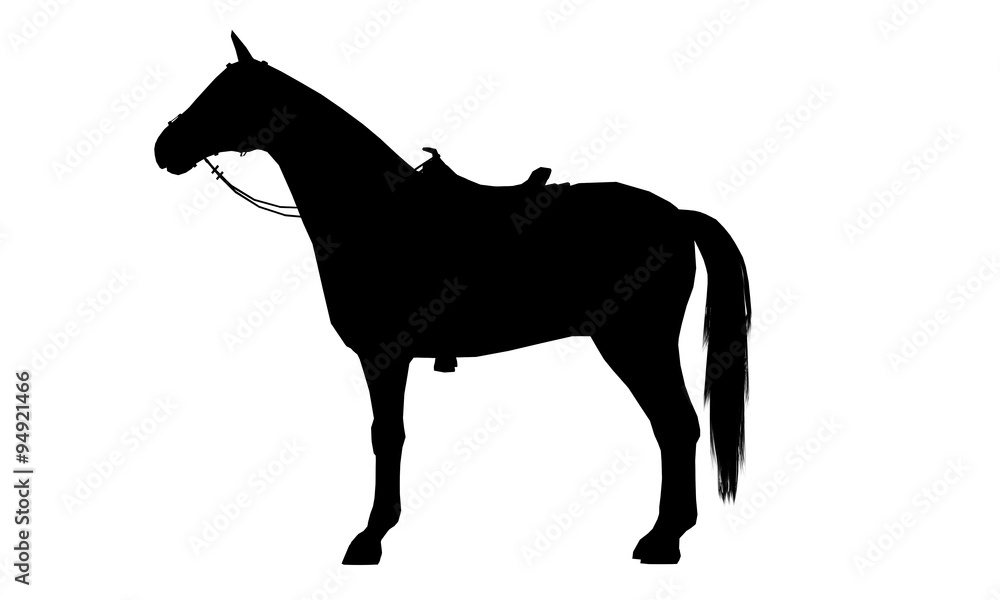 Obraz premium Horse silhouette