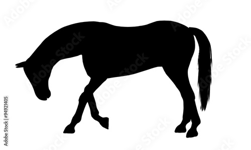 Horse silhouette