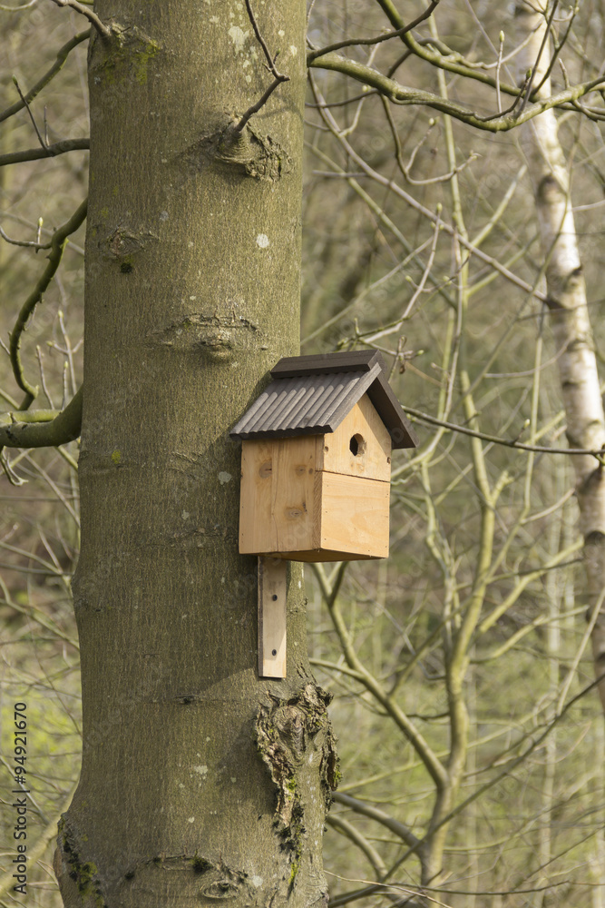 Nesting box fixed to a deciduous tree trunk in a wooded area in NW England, amid bare trees in early spring. The box has a small circular entrance suitable for a blue tit or similar small bird.