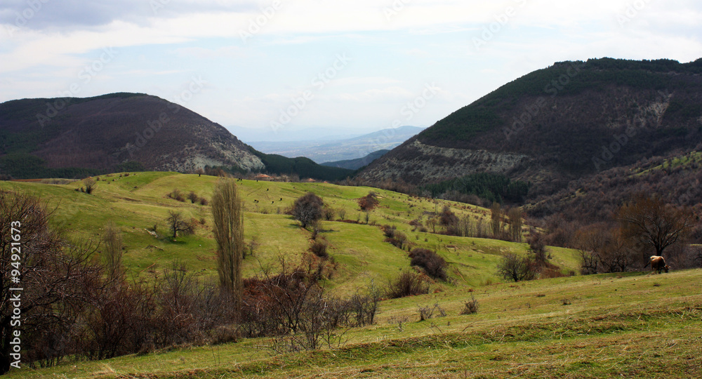 Fototapeta premium Landscape from Bulgaria