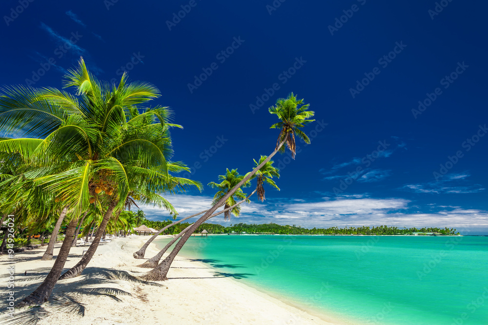 Fototapeta premium Beach with palm trees over the lagoon on Fiji Islands