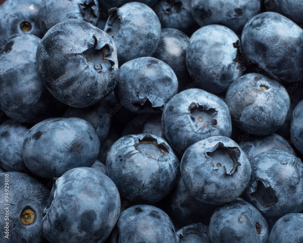 Freshly picked blueberries. Macro. Freshly picked blueberries. Macro.