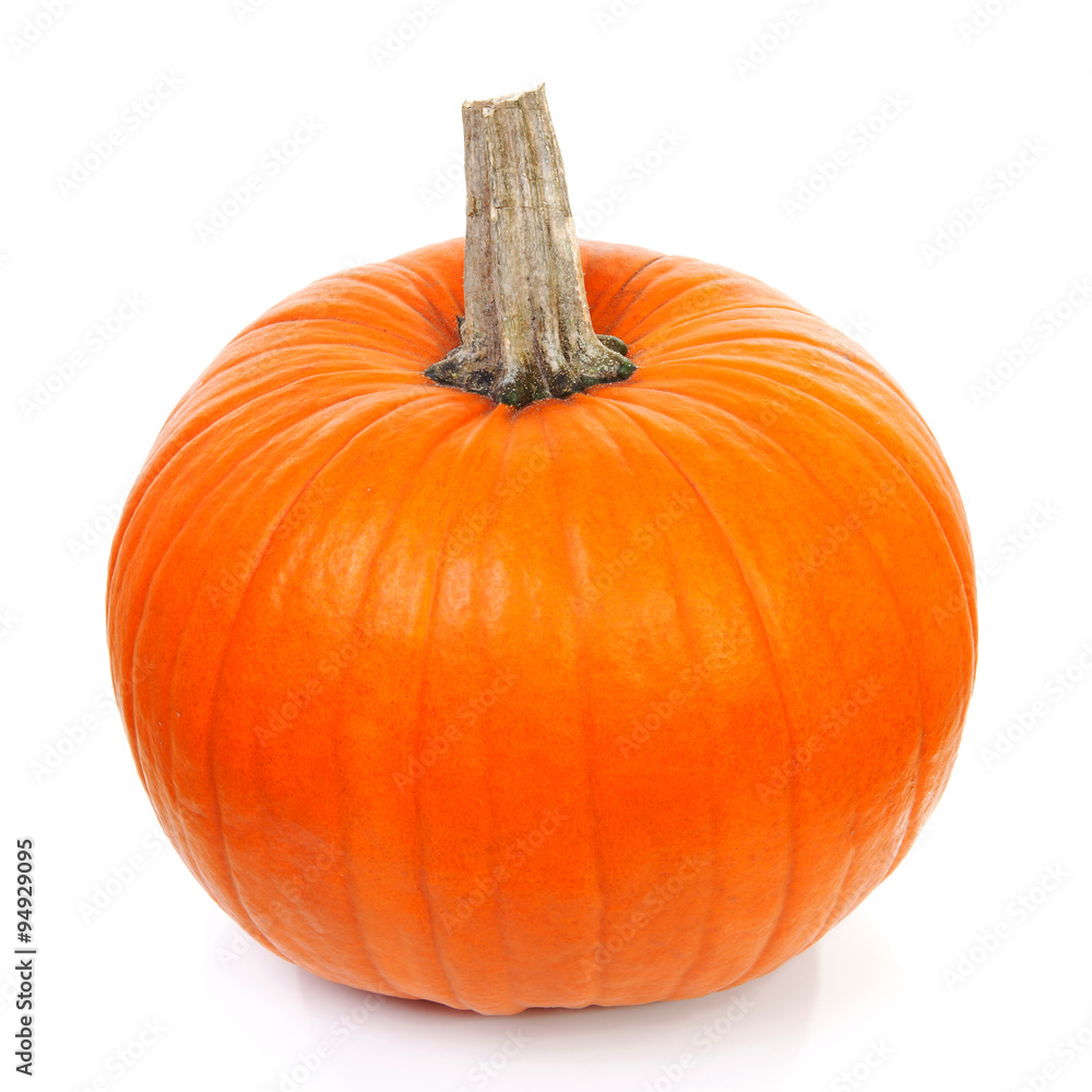Obraz premium Big orange pumpkin