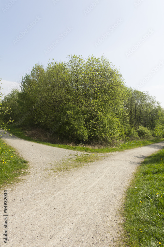 Obraz premium A fork in the path leading through the trees. A place where a decision has to be made.