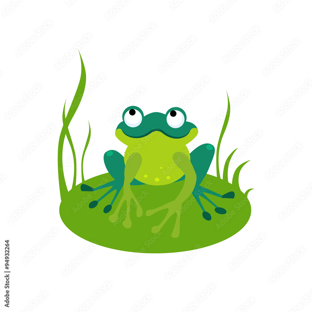 Fototapeta premium Green Cartoon Frog Vector Illustration