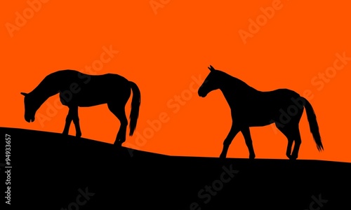 Horse silhouette