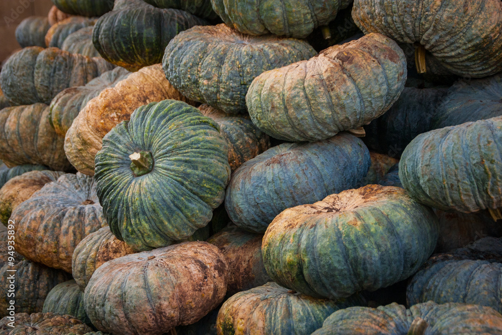 pumpkin Thailand pumpkin Thailand