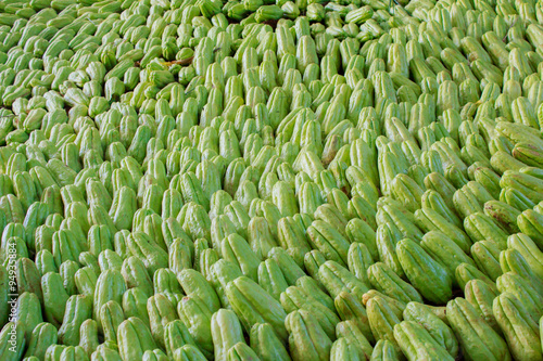 green chayote photo