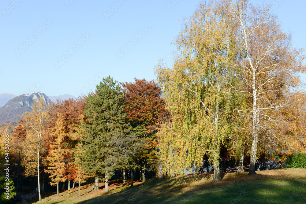 Autumnal landscape at Carona