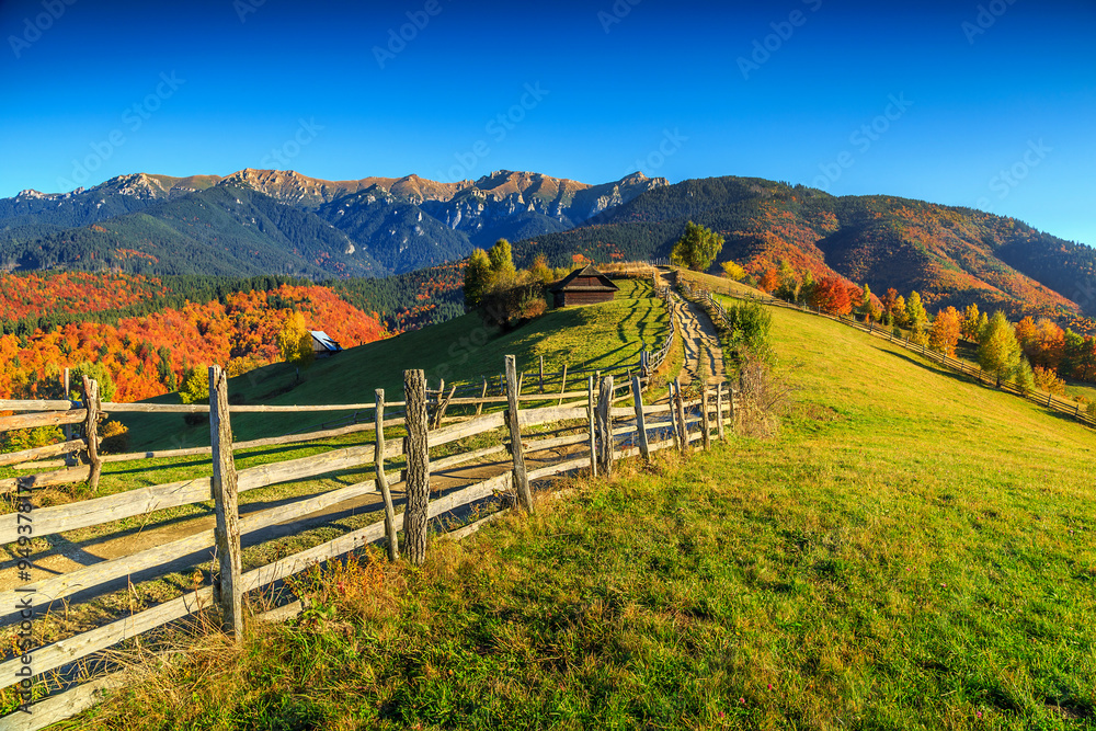 Stunning autumn rural landscape near Bran,Transylvania,Romania,Europe