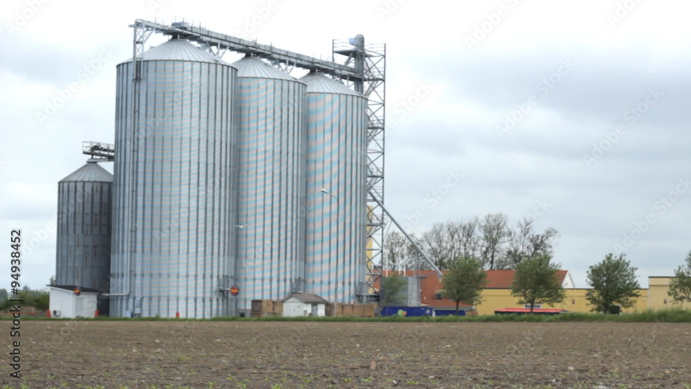 Agriculture field Agriculture field