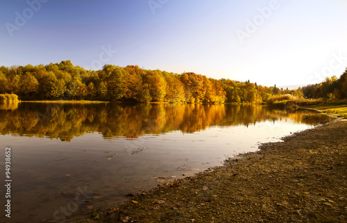 Autumn forest on the shore river