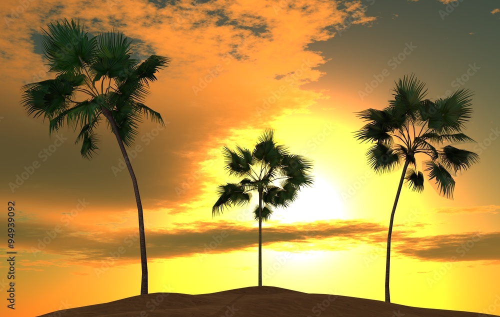 tropical palm trees against the sky with the sun and clouds