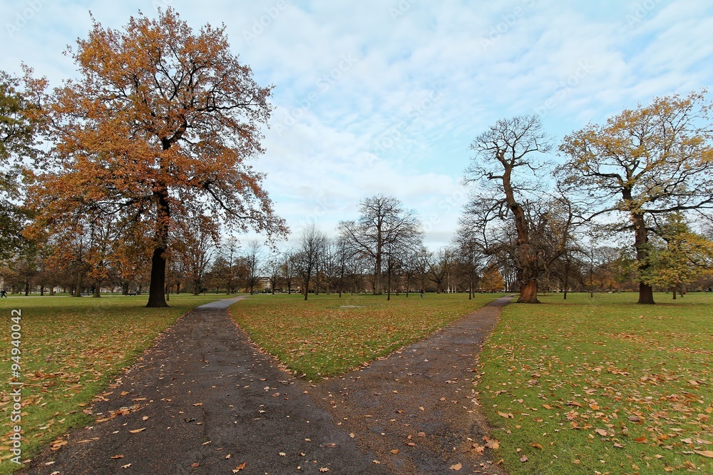 The Kensington Gardens and Hide Park, London, UK during autumn