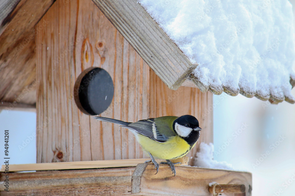 Fototapeta premium The Great tit bird (Parus major, Kohlmeise) on the wooden bird feeder with snow covering its roof during the Winter in Europe