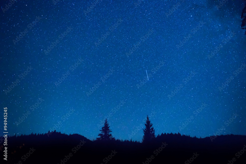 Dark blue night sky above mystery forest Dark blue night sky above mystery forest