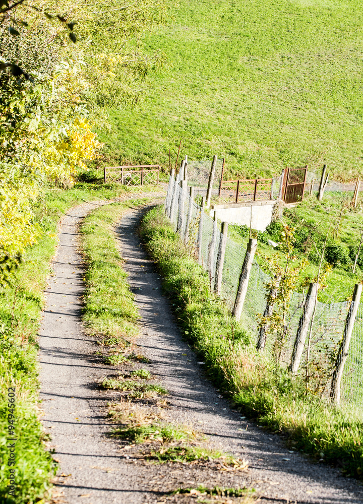 Obraz premium country path and fence with sunset light