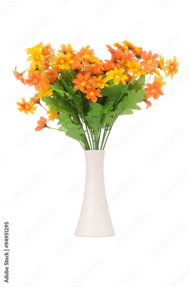 Obraz premium Daisy camomile flowers isolated on white