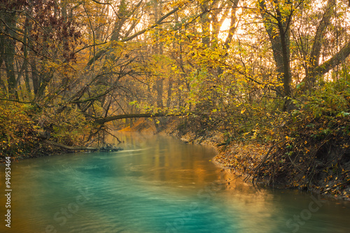 Fototapeta Naklejka Na Ścianę i Meble -  Flowing stream on autumn forest
