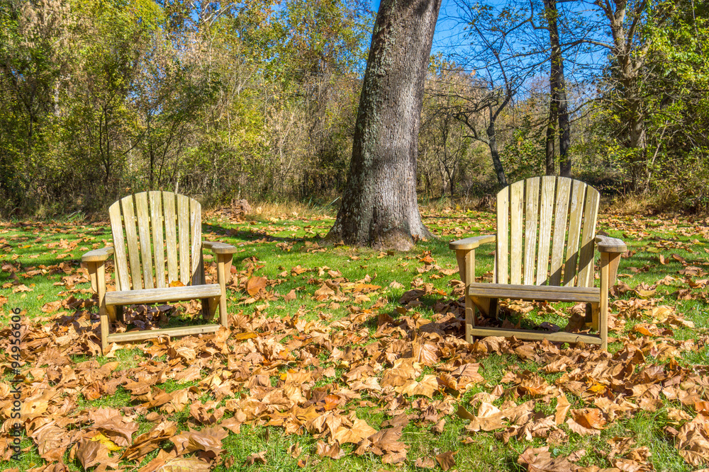 Relaxing spot under the trees in the Autumn season
