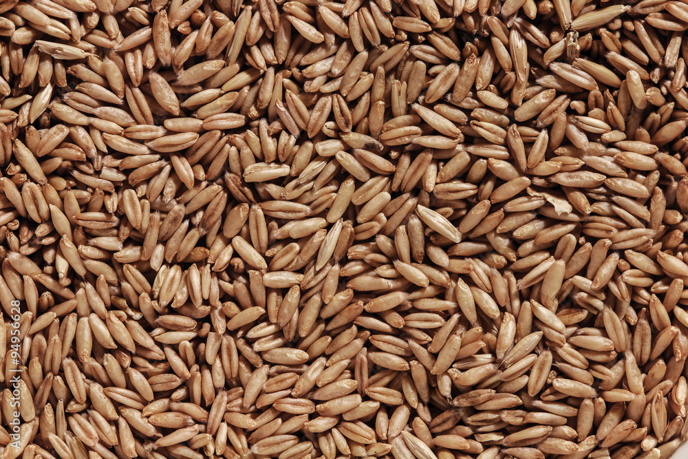 oat seeds