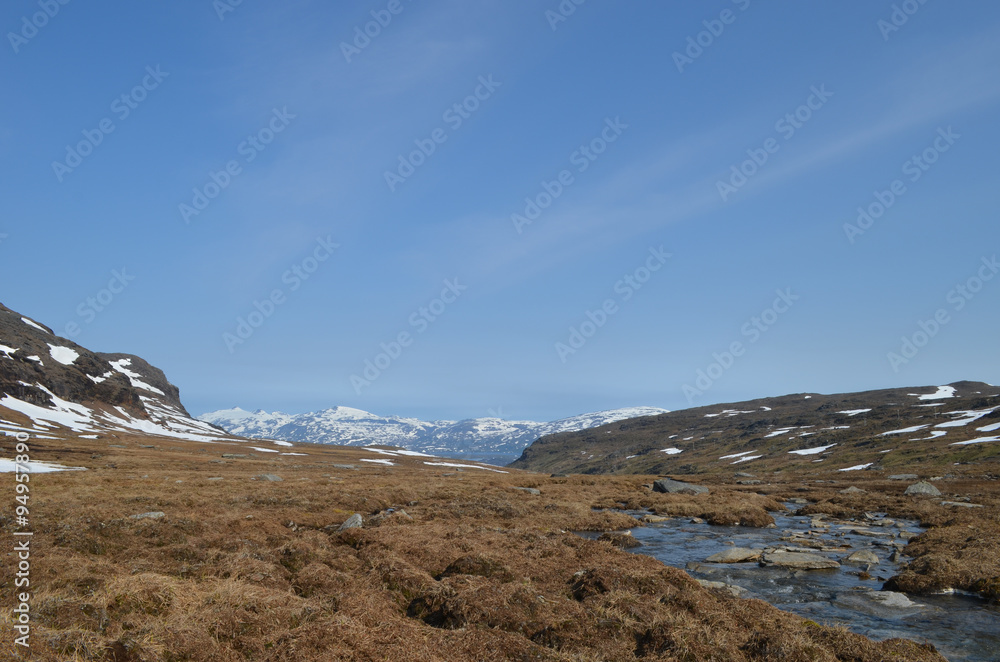 River in tundra in mountain valley, subarctic Swedish Lapland