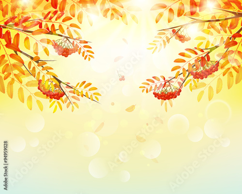 Canvas-taulu Autumn background with colorful leaves and ash-berry.