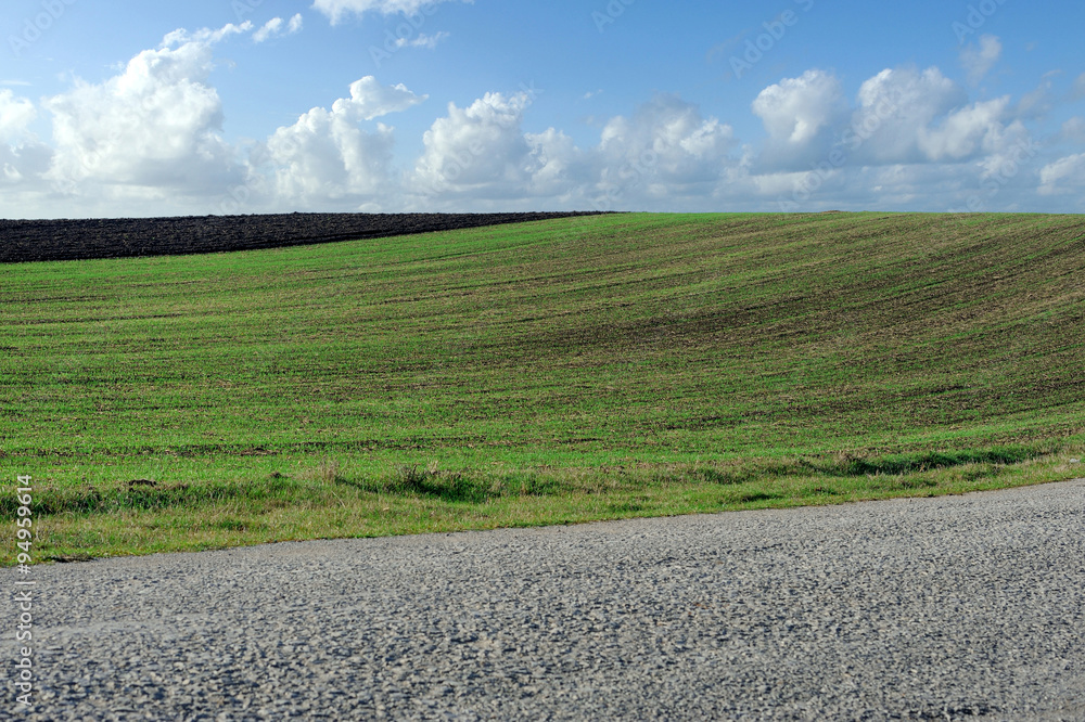 Road, green field and blue sky