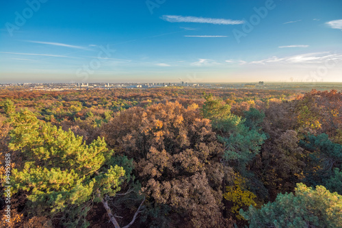 Wald mit Skyline im Hintergrund © Ralf Geithe