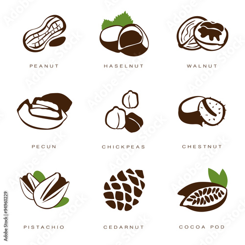 Nuts, Beans and Seed Vector