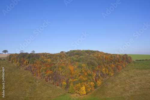 colorful autumn woodland