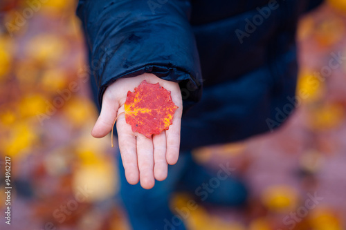 autumn leaf in hand