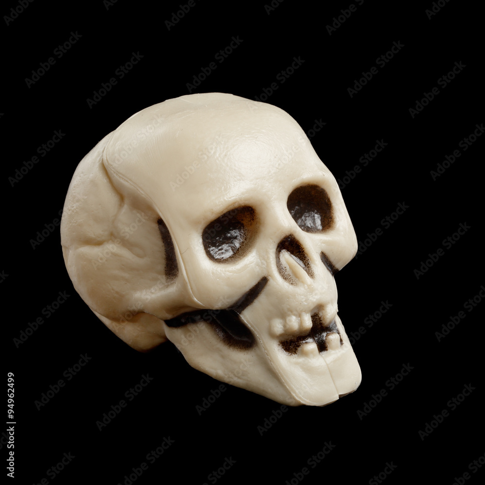 Obraz premium Skull