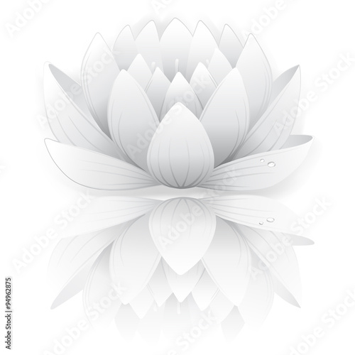 Gray lotus