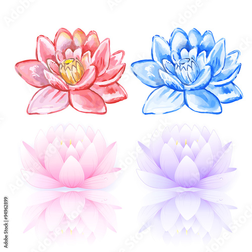 Fototapeta Naklejka Na Ścianę i Meble -  Pink & blue lotus
