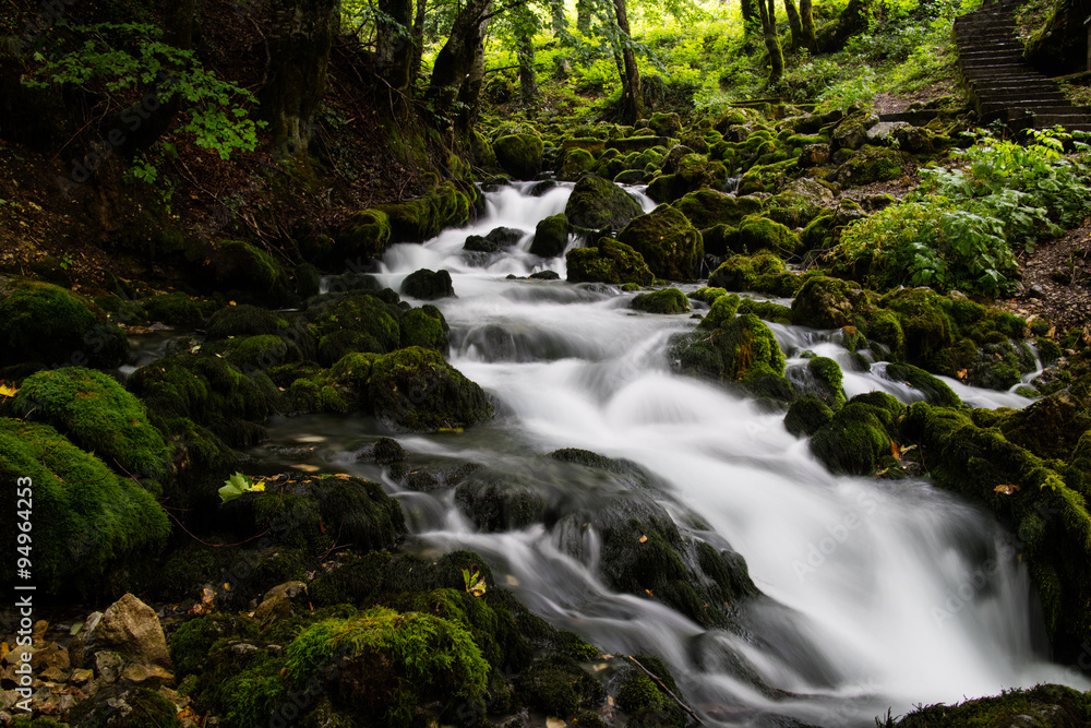 stream in the forest