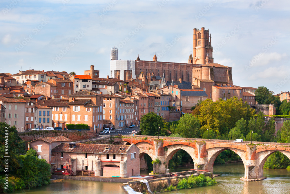 Obraz premium View of the Albi, France