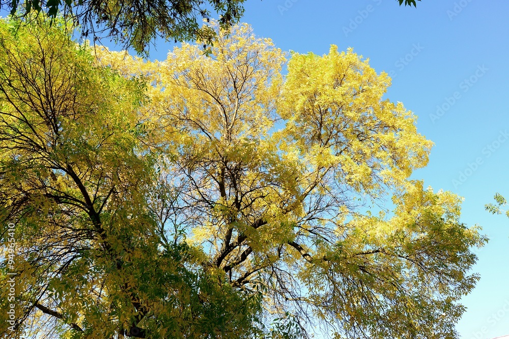 Autumn view of Vilnius Naujamiestis district on October 6, 2015