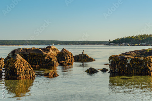 Fotografija Carters Beach (Nova Scotia, Canada)