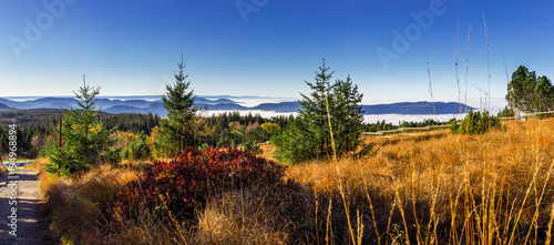 Herbst im Schwarzwald