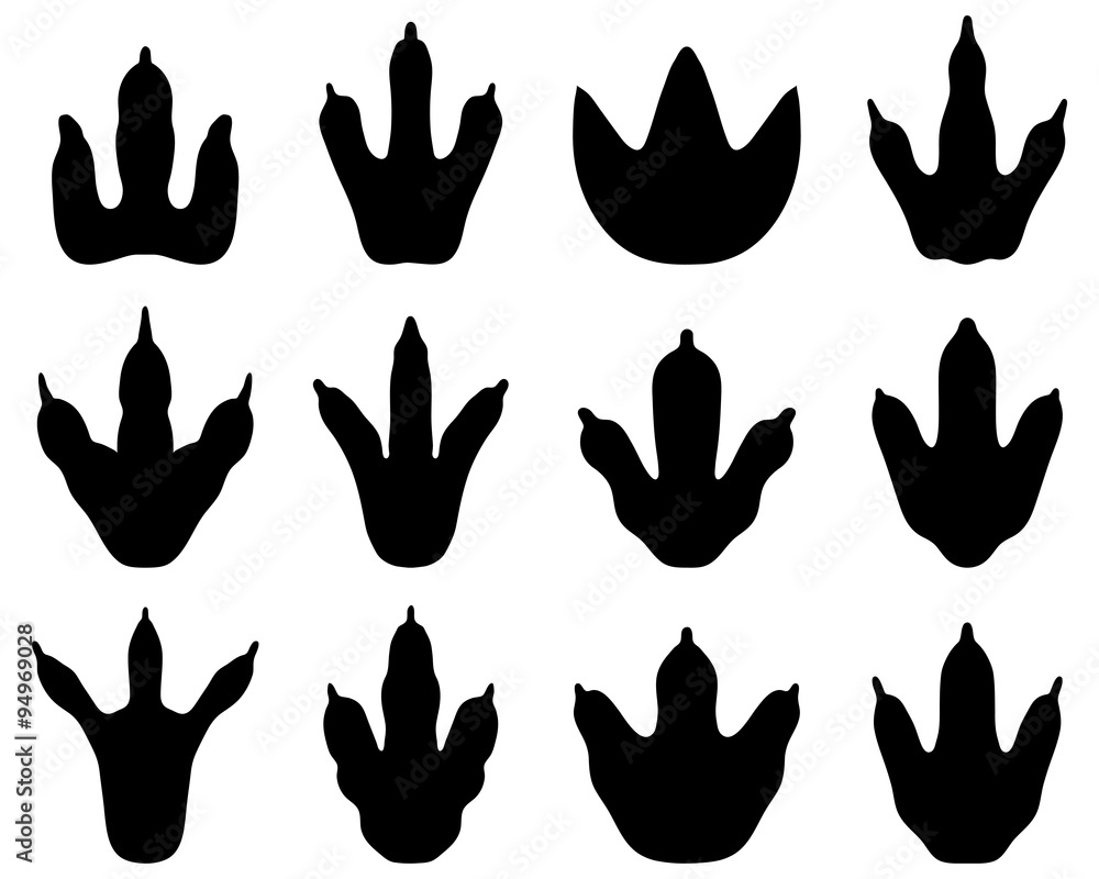 Fototapeta premium Black footprint of dinosaur, vector