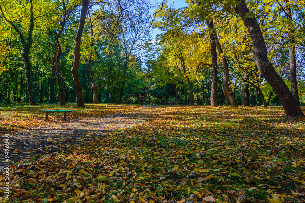 Autumn in parks Autumn in parks